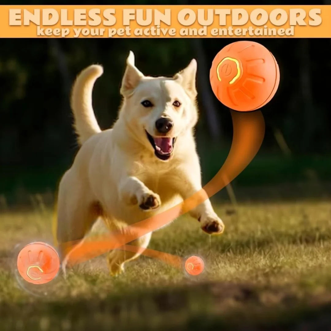 Pet Ball Smart Bouncing For Dogs and Cats
