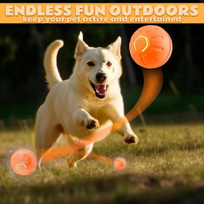 Pet Ball Smart Bouncing For Dogs and Cats