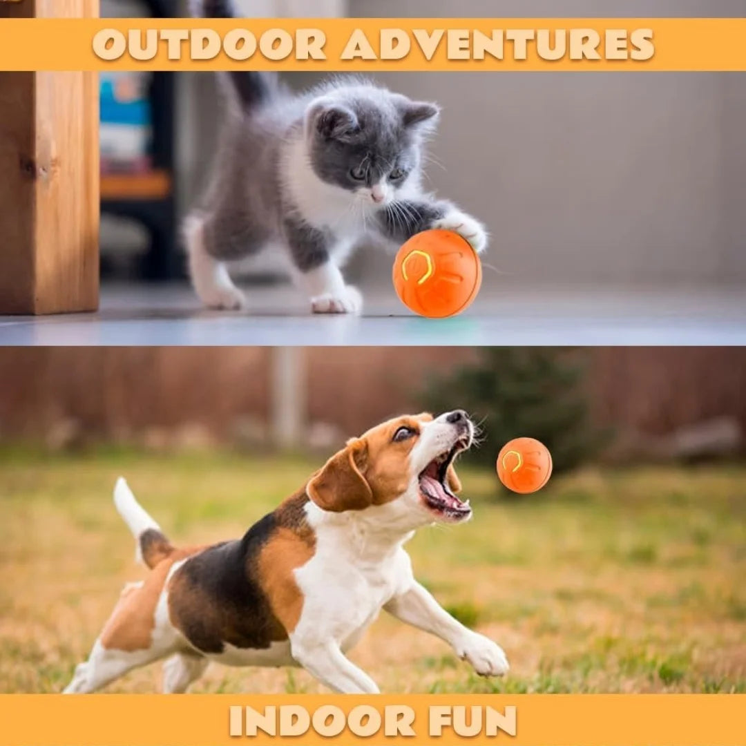 Pet Ball Smart Bouncing For Dogs and Cats