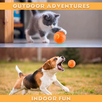 Pet Ball Smart Bouncing For Dogs and Cats